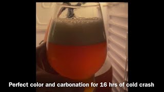 PRESSURE FERMENTATION Double IPA 103 in 7 days served directly from fermzilla [upl. by Airel]