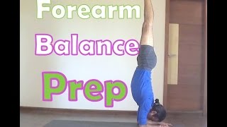 Forearm Balance Preparations  Pincha Mayurasana  Yoga Arm Balance ChallengeWeek 2 [upl. by Vullo]