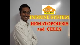 Hematopoiesis and cells of immune system [upl. by Hertz]