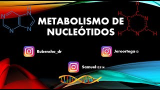 Metabolismo De Nucleótidos [upl. by Eibob852]