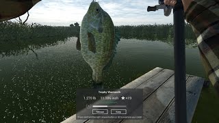 Fishing Planet Florida Best Trophy Warmouth Spots [upl. by Skiba627]