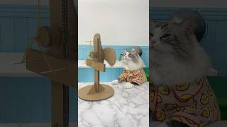 🌀 Will this fan keep spinning Watch Puffs latest experiment to find out 🌬️ PuffTheScientist [upl. by Asin]