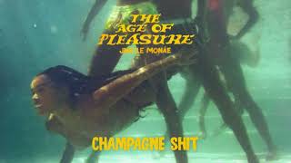 Janelle Monáe  Champagne Shit Official Audio [upl. by Lledraw19]