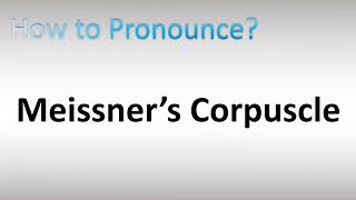 How to Pronounce Meissner’s Corpuscle [upl. by Ikkir482]