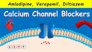 Calcium Channel Blockers  Amlodipine Verapamil Diltiazem [upl. by Orabel381]