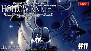 LE PETIT SCARABÉE  Hollow Knight  ÉPISODE 11  FR [upl. by Domeniga920]