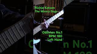 The Winery Dogs  Oblivion No1 180 Left Richie Kotzen guitar ギター telecaster emg テレキャス helix [upl. by Hofmann]