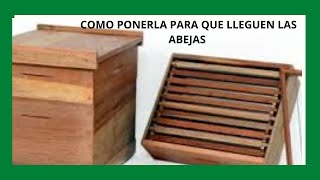 CAJAS DE ABEJAS COMO SON COMO PONERLAS COMO FUNCIONAN COMO UBICARLAS [upl. by Bunting17]