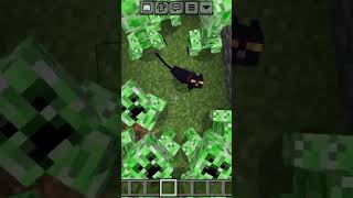 Minecraft is real ✅ minecraft minecraftseeds gaming minecraftbuilding minecraftmemes mine [upl. by Abdulla]