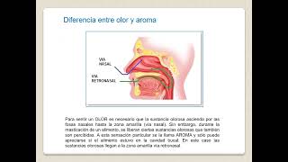 Video Complementario Clase 1 TUIL 25 10 24 [upl. by Kohsa]