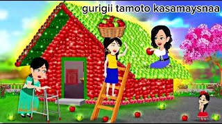 Sheeko gaaban gurigii kasamaysnaa tomato da [upl. by Niriam]