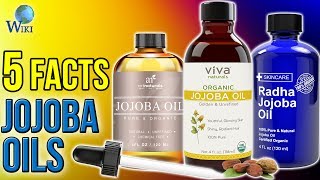 Jojoba Oils 5 Fast Facts [upl. by Tnert]