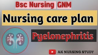 Pyelonephritis  Nursing care plan for Pyelonephritis Case study on UTI  NCP uti ncp [upl. by Ahseen824]