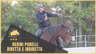 Le redini Parelli diretta e indiretta A cosa servono e perchè [upl. by Imim]