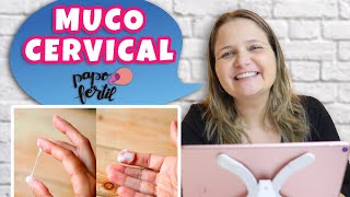 MUCO CERVICAL  O QUE TEM A VER COM A OVULAÇÃO  Como Engravidar  PAPO FÉRTIL [upl. by Maice]