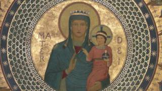 Salve Mater Misericordiae [upl. by Sculley]