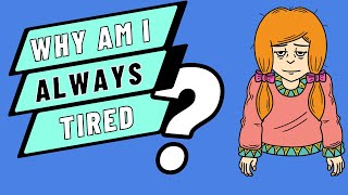 Why Am I Always Tired Why Am I So Tired All The Time  Dr Laara Van Bryce [upl. by Eesak]