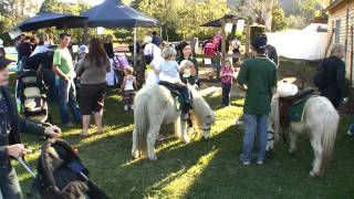 Canungra Show 2010 [upl. by Annoerb280]