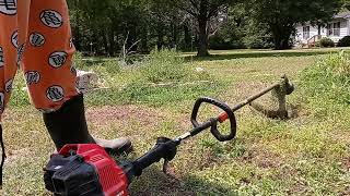 Craftsman Weed eater demonstration [upl. by Fahey401]