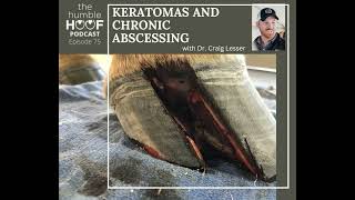 Keratomas and Chronic Abscessing with Dr Craig Lesser [upl. by Darya614]