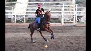 POWAY POLO CLUB TUES CHUKKERS 4 812017 4K Video [upl. by Charlene]