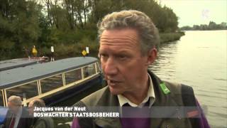 Beverjubileum in de Biesbosch [upl. by Neeroc]