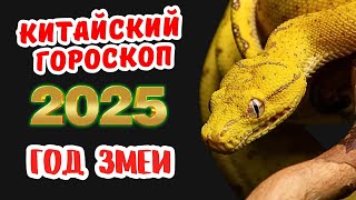 Китайский гороскоп на 2025 год по году рождения [upl. by Yeung6]