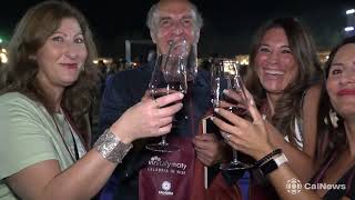 Vinitaly and the City sbarca in Calabria un successo tra vino cultura e tradizione [upl. by Ty]