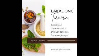 Lakadong Turmeric the wonder spice of Meghalaya [upl. by Avlis]