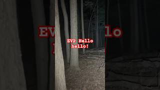 Disembodied voice saying hello hello out in the woods evp [upl. by Buddy]