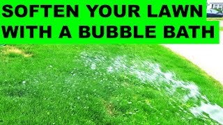 Soften your Lawn with Yucaa and Soap [upl. by Sinaj]