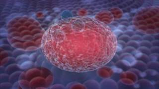 Biosensors for Cancer Detection [upl. by Einneb]