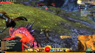 Guild Wars 2  Help Paenula train troops Heart Quest Plains of Ashford [upl. by Finzer232]