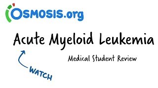 Acute Myeloid Leukemia  Clinical Presentation [upl. by Kcireddor347]