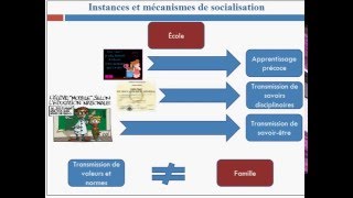 Instances et mécanismes de socialisation [upl. by Atinrahs]