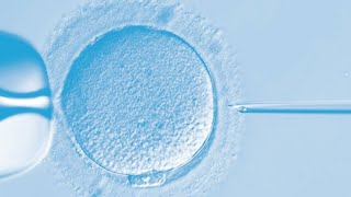 IVF Lab Tour  What happens Inside Fertilization by ICSI to Embryo Transfer [upl. by Brennen789]