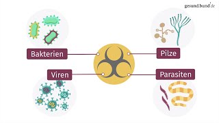 Was sind Infektionskrankheiten [upl. by Acsecnarf]