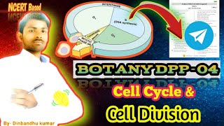 Cell Cycle amp Cell Division Botany DPP04 Solutions Apical Meristem medical neet aiims mbbsdks [upl. by Delastre723]