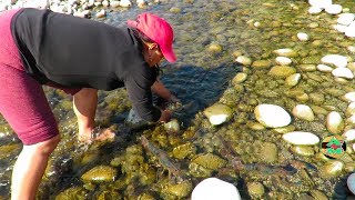 MIRA ASÍ PESCA ESTA MUJER CAMARONES GRANDES EN RÍO Utilizando Las Manos [upl. by Eceirtal]