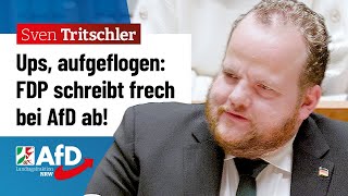 FDP wollte schnell in den Feierabend – Sven Tritschler AfD [upl. by Macgregor]