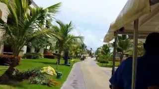 Punta Cana Hard Rock Cafe Cart Tour [upl. by Prosper]