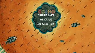 Cosmo Sheldrake  Wriggle Mr Jukes Edit [upl. by Nivart937]