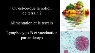 Notion de terrain sérothérapie et alimentation pour booster le système immunitaire [upl. by Culley]