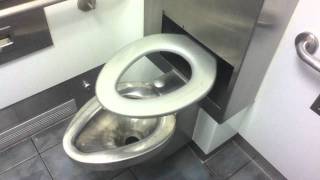 The Toilet Review  Automatic Self Cleaning Toilet Seat [upl. by Idnyl124]