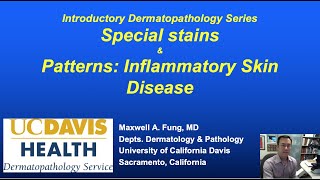 DERMATOPATHOLOGY Special Stains amp Patterns of Inflammatory Skin Diseases [upl. by Anetsirk]