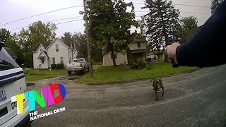 Officer shoots dog that ran at him [upl. by Nyraa]