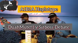 quotDuahMutef1 v Sirboss DebatequotA1B1A Haplotype [upl. by Yovonnda786]