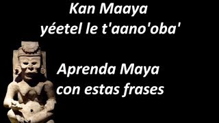 21Aprenda Maya Frases 17 VERBOS querer negaciones pretérito [upl. by Zetes]