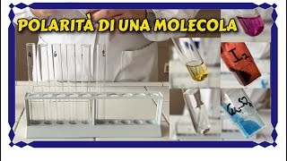 Polarità di un composto chimico e influenza sulla solubilità e miscibilità  Laboratorio di chimica [upl. by Hogue]