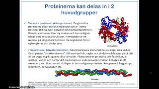 Kortfilm  Proteinernas uppbyggnad funktion och indelning [upl. by Kama]